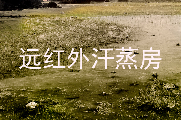 远红外汗蒸房