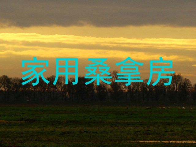 家用桑拿房