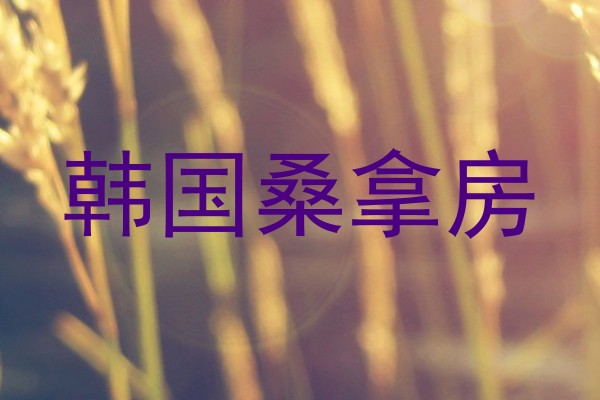 韩国桑拿房