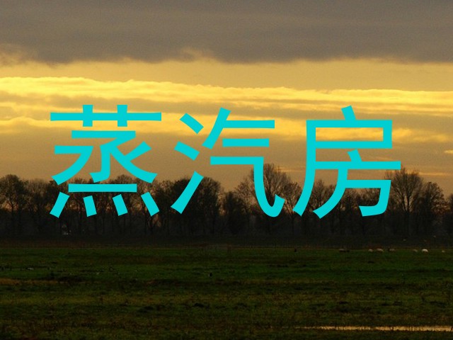 蒸汽房