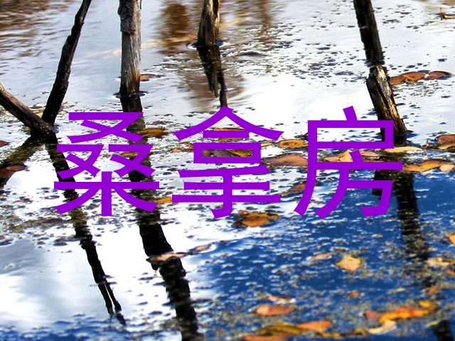 桑拿房