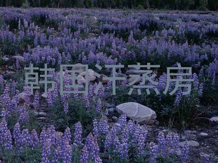 韩国汗蒸房