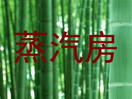 蒸汽房