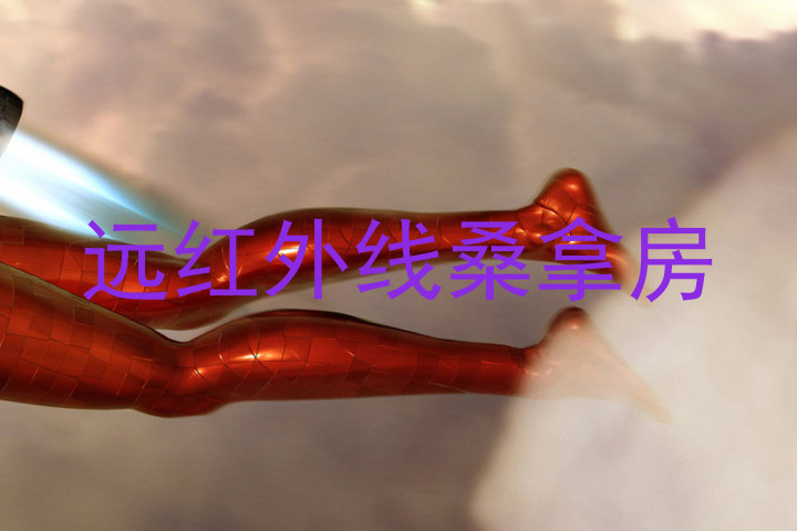 远红外线桑拿房