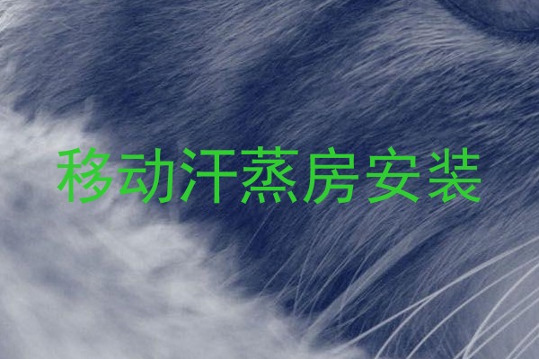 移动汗蒸房安装