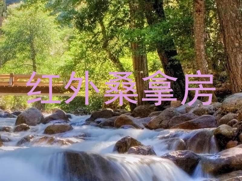 红外桑拿房