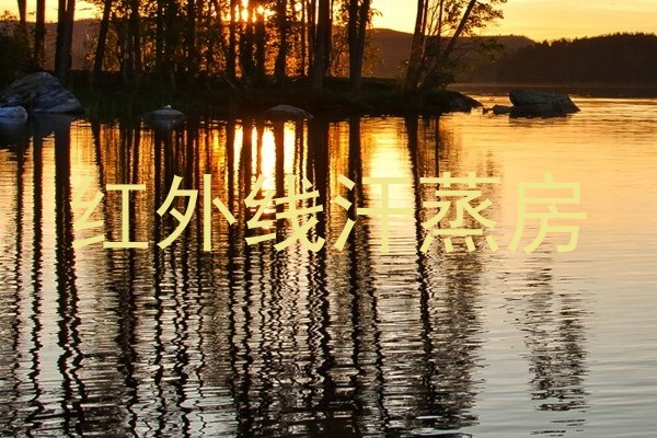 红外线汗蒸房