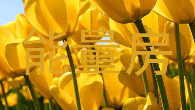 能量房