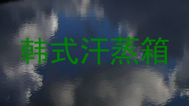 韩式汗蒸箱