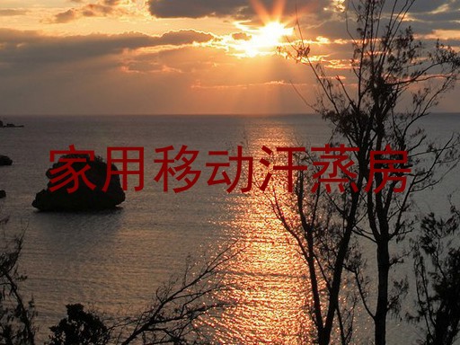 家用移动汗蒸房