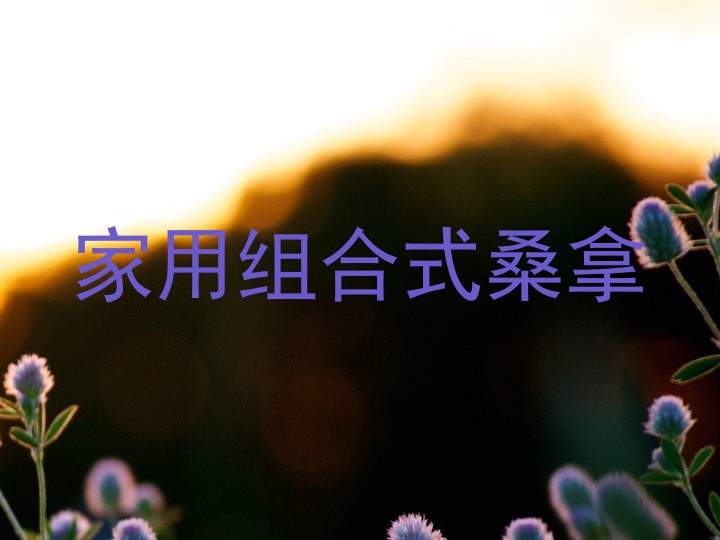 家用组合式桑拿