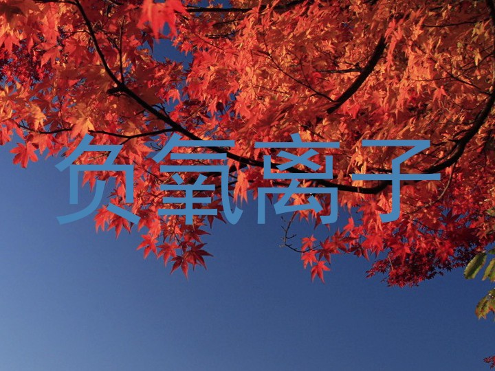 负氧离子