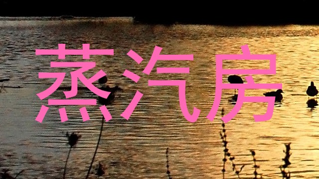 蒸汽房
