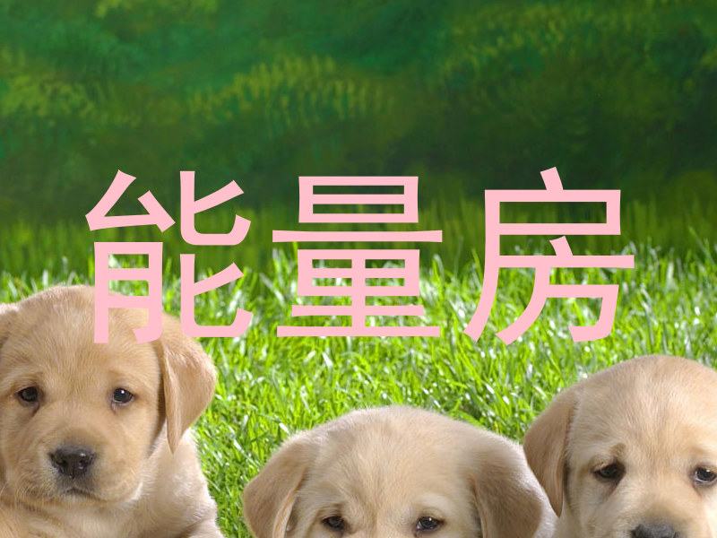 能量房