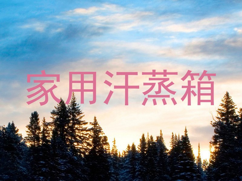 家用汗蒸箱