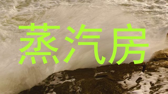 蒸汽房
