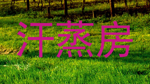 汗蒸房