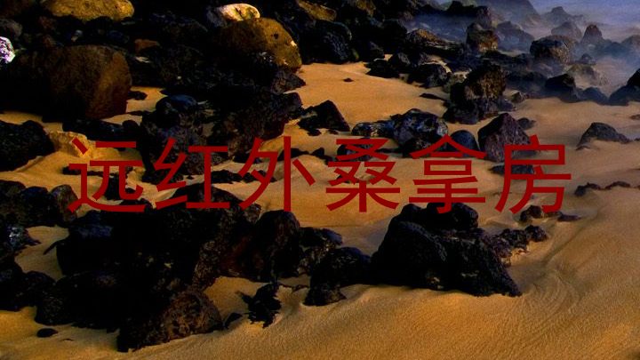 远红外桑拿房