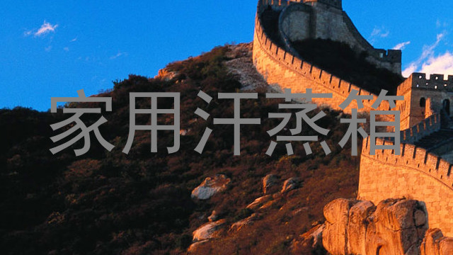 家用汗蒸箱