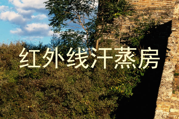 红外线汗蒸房