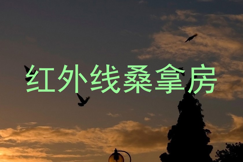 红外线桑拿房