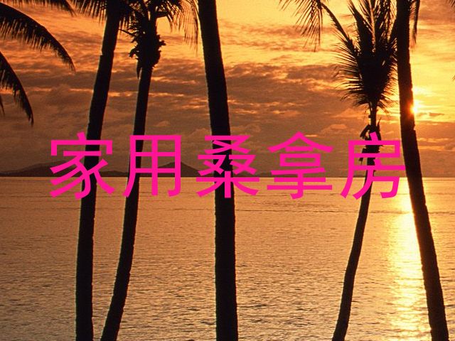 家用桑拿房