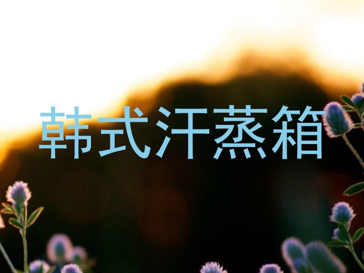 韩式汗蒸箱