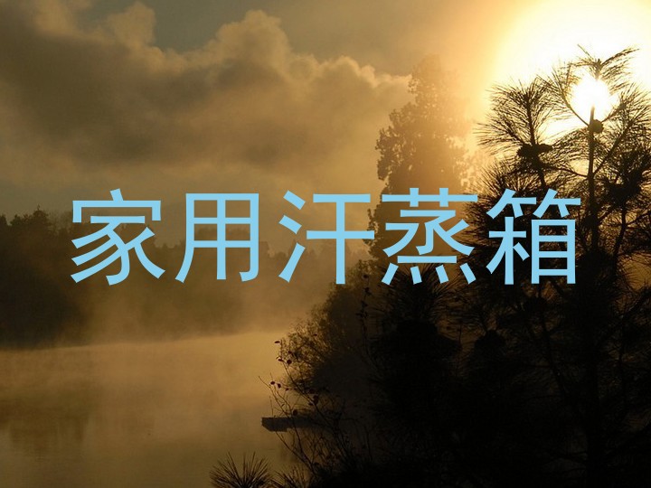 家用汗蒸箱