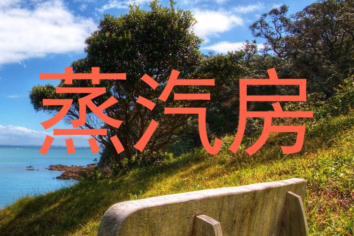 蒸汽房
