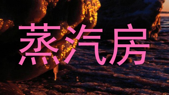 蒸汽房
