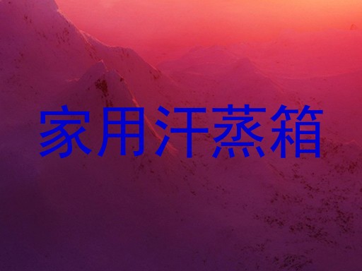 家用汗蒸箱
