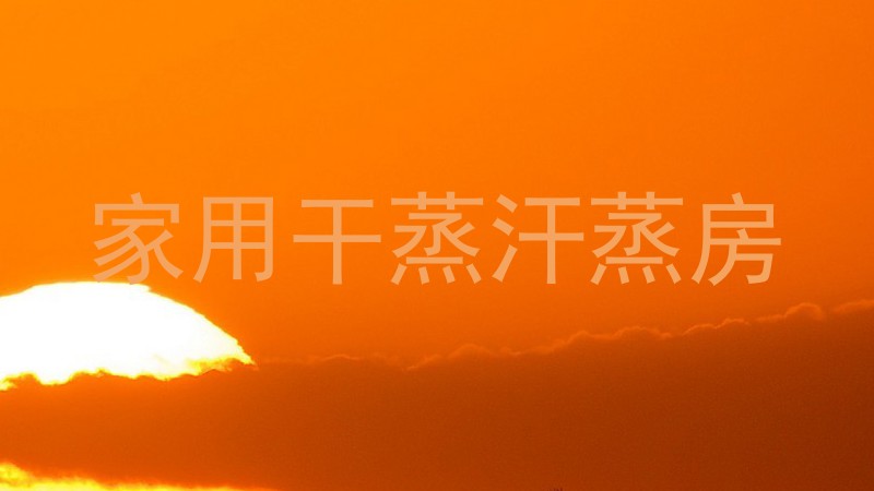 家用干蒸汗蒸房