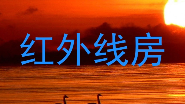红外线房