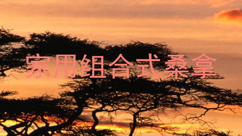 家用组合式桑拿