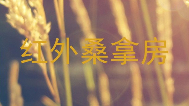 红外桑拿房