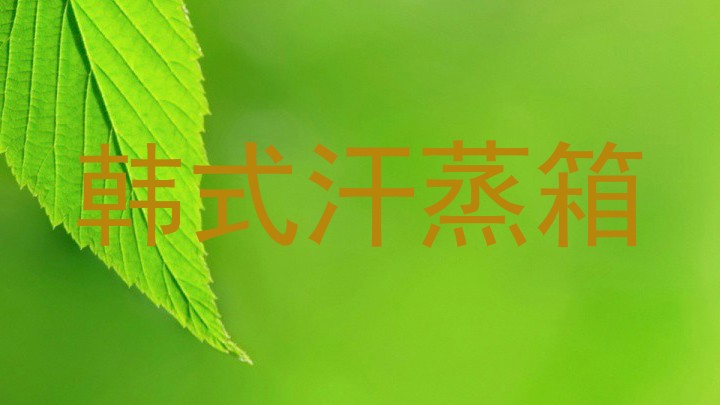 韩式汗蒸箱