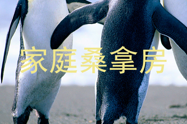 家庭桑拿房