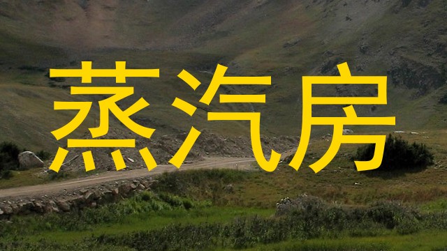 蒸汽房