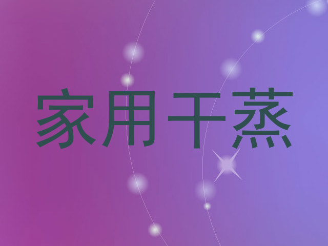 家用干蒸