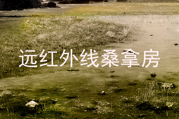 远红外线桑拿房
