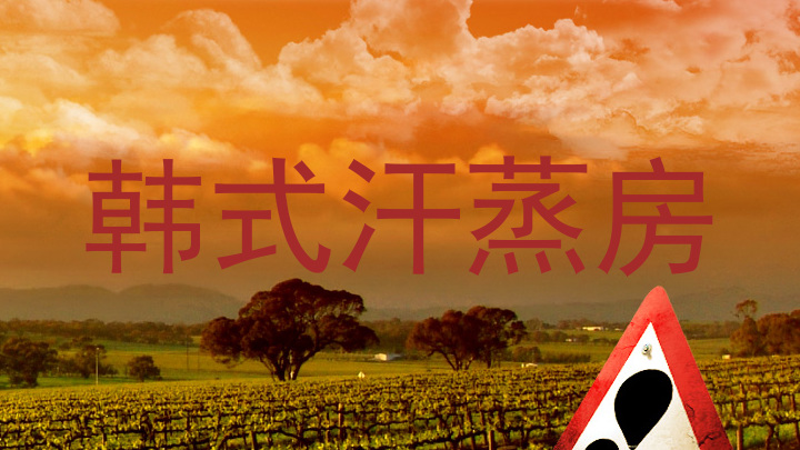 韩式汗蒸房