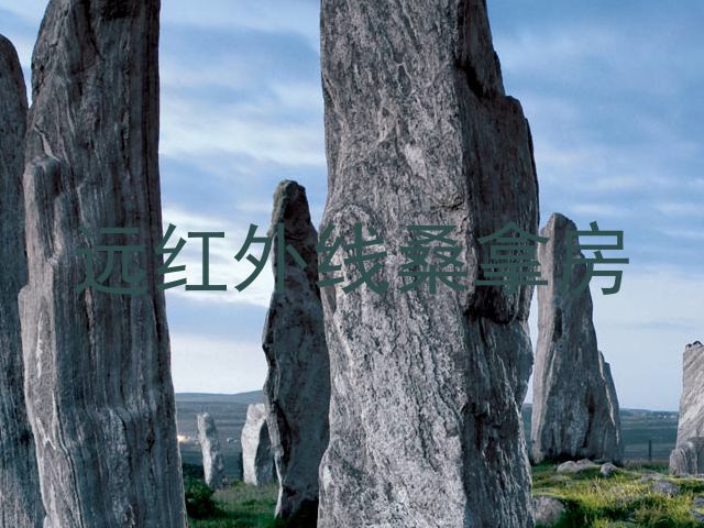 远红外线桑拿房