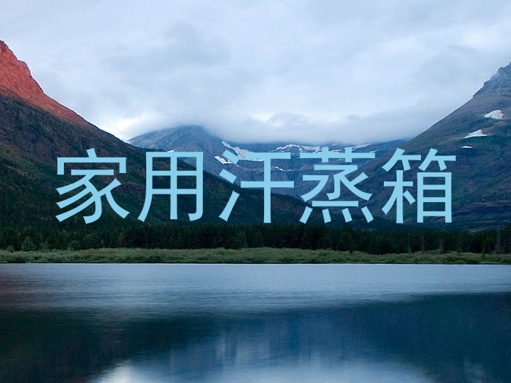 家用汗蒸箱