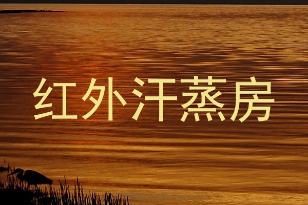 红外汗蒸房