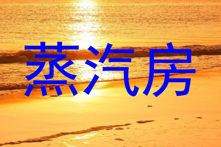蒸汽房
