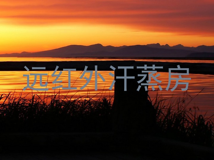 远红外汗蒸房