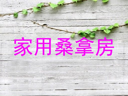 家用桑拿房