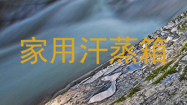 家用汗蒸箱