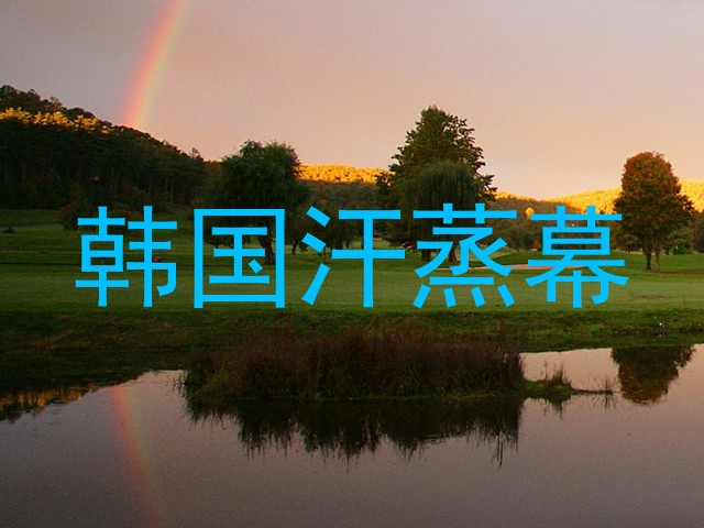 韩国汗蒸幕