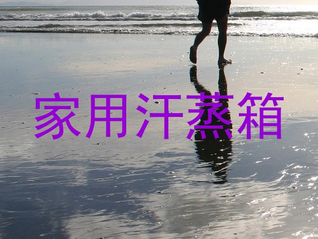 家用汗蒸箱